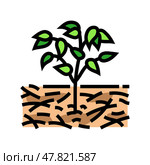 mulching urban gardening color icon vector illustration. Стоковая иллюстрация, иллюстратор Vectorwin / Фотобанк Лори