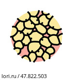 adipose tissue obesity overweight color icon vector illustration. Стоковая иллюстрация, иллюстратор Vectorwin / Фотобанк Лори