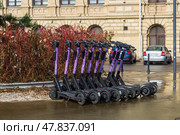 Electric scooters in the car park. Purple scooters for hire. (2022 год). Редакционное фото, фотограф Zima Nadezhda / Фотобанк Лори