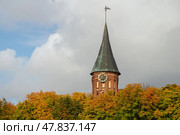 Kaliningrad Cathedral in autumn. The historical center of the city. The grave of Immanuel Kant. (2022 год). Редакционное фото, фотограф Zima Nadezhda / Фотобанк Лори