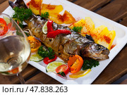 Baked trout with vegetables and white wine. Стоковое фото, фотограф Яков Филимонов / Фотобанк Лори