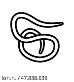 roundworm parasite line icon vector illustration. Стоковая иллюстрация, иллюстратор Vectorwin / Фотобанк Лори