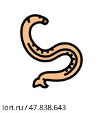 hookworm parasite color icon vector illustration. Стоковая иллюстрация, иллюстратор Vectorwin / Фотобанк Лори