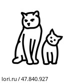 kittens cat breeding line icon vector illustration. Стоковая иллюстрация, иллюстратор Vectorwin / Фотобанк Лори