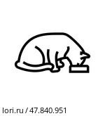 food bowl cat breeding line icon vector illustration. Стоковая иллюстрация, иллюстратор Vectorwin / Фотобанк Лори