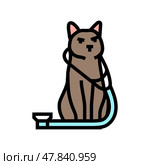 stethoscope cat breeding color icon vector illustration. Стоковая иллюстрация, иллюстратор Vectorwin / Фотобанк Лори