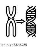 gene genetic engineering line icon vector illustration. Стоковая иллюстрация, иллюстратор Vectorwin / Фотобанк Лори