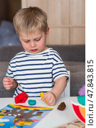 A little boy is playing with plasticine. Fine motor skills-developing games for children. The kid makes a horse. Useful games for child development. Стоковое фото, фотограф Photojuli / Фотобанк Лори