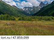 View of the floodplain of the Gonachkhir River in the northern foothills of the Caucasus Mountains near the village of Dombay on a sunny summer day, Karachay-Cherkessia, Russia. Стоковое фото, фотограф Ula Ulachka / Фотобанк Лори