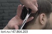 The barber picks up a lot of hair with his fingers and cuts off the ends with scissors. He makes the man's haircut look new. Стоковое видео, видеограф Strunov David / Фотобанк Лори