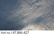 Altocumulus high cumulus heaped cloud genus belongs to stratocumuliform. Globular masses or rolls in layers or patches. Cumuliform stratocumuliform clouds, altocumulus signifies convection. Blue sky. Стоковое видео, видеограф Юлия Петровская / Фотобанк Лори