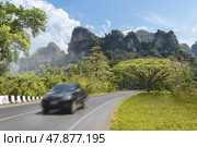 Road to the entrance to Khao Sok Park in Thailand is a popular tourist destination. A beautiful panorama of the mountain and a sprawling large tree by the road, a pickup truck is driving along road. Стоковое фото, фотограф Владимир Разгуляев / Фотобанк Лори