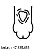 ringworm animal paw line icon vector illustration. Стоковая иллюстрация, иллюстратор Vectorwin / Фотобанк Лори