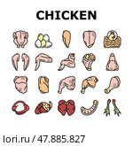 Chicken Animal Farm Raw Meat Food Icons Set Vector. Стоковая иллюстрация, иллюстратор Vectorwin / Фотобанк Лори