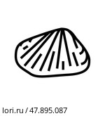 donax clam line icon vector illustration. Стоковая иллюстрация, иллюстратор Vectorwin / Фотобанк Лори