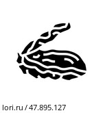 oyster opened shell glyph icon vector illustration. Стоковая иллюстрация, иллюстратор Vectorwin / Фотобанк Лори