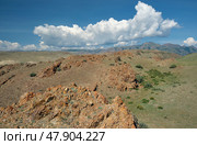 Rocky semi-desert with bushes of Caragana pygmaea in the Kosh-Agach Valley in Altai. Стоковое фото, фотограф Сергей Пристяжнюк (Serg Zastavkin) / Фотобанк Лори
