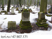Пейзаж Волковского лютеранского кладбища ранней весной. Санкт-Петербург, Россия (2021 год). Редакционное фото, фотограф Алексей Иванов / Фотобанк Лори