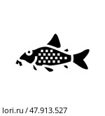 cory catfish glyph icon vector illustration. Стоковая иллюстрация, иллюстратор Vectorwin / Фотобанк Лори