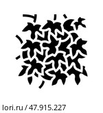hedera helix glyph icon vector illustration. Стоковая иллюстрация, иллюстратор Vectorwin / Фотобанк Лори