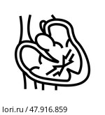 cardiomyopathy cardiology disease line icon vector illustration. Стоковая иллюстрация, иллюстратор Vectorwin / Фотобанк Лори