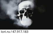 A white smoke engulfing a realistic human skull on a black background. Great for concepts related to smoking, death, danger, addiction, and Halloween. Стоковое AI-видео, аниматор Михаил Строгалев / Фотобанк Лори