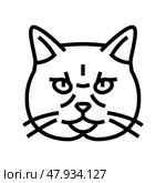 british shorthair cat cute pet line icon vector illustration. Стоковая иллюстрация, иллюстратор Vectorwin / Фотобанк Лори