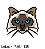 birman cat cute pet color icon vector illustration. Стоковая иллюстрация, иллюстратор Vectorwin / Фотобанк Лори