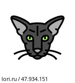 oriental cat cute pet color icon vector illustration. Стоковая иллюстрация, иллюстратор Vectorwin / Фотобанк Лори