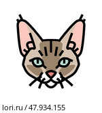 devon rex cat cute pet color icon vector illustration. Стоковая иллюстрация, иллюстратор Vectorwin / Фотобанк Лори