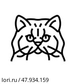 persian cat cute pet line icon vector illustration. Стоковая иллюстрация, иллюстратор Vectorwin / Фотобанк Лори
