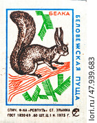 Белка Серия: Беловежская пуща. Спичечные этикетки СССР. 1975. Редакционное фото, фотограф Сергей Афанасьев / Фотобанк Лори