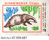 Барсук. Серия: Беловежская пуща. Спичечные этикетки СССР. 1975. Редакционное фото, фотограф Сергей Афанасьев / Фотобанк Лори
