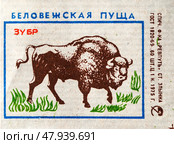Зубр. Серия: Беловежская пуща. Спичечные этикетки СССР. 1975. Редакционное фото, фотограф Сергей Афанасьев / Фотобанк Лори