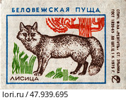 Лисица. Серия: Беловежская пуща. Спичечные этикетки СССР. 1975. Редакционное фото, фотограф Сергей Афанасьев / Фотобанк Лори