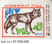 Волк. Серия: Беловежская пуща. Спичечные этикетки СССР. 1975. Редакционное фото, фотограф Сергей Афанасьев / Фотобанк Лори