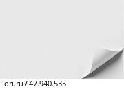 White paper corner fold up minimal page layout with curved edge on light surface background ideal for branding presentations promotions design. Стоковое фото, фотограф Павел Муравьев / Фотобанк Лори