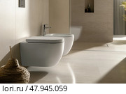 Toilet and bidet. Flush clean toilet in modern bathroom. White ceramic toilet bowl near light grey wall. Restroom furniture concept. Personal hygiene. Interior Design. Architecture. Architectural. Стоковое AI-изображение, AI-художник Марина Демидюк / Фотобанк Лори