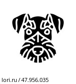miniature schnauzer dog puppy pet glyph icon vector illustration. Стоковая иллюстрация, иллюстратор Vectorwin / Фотобанк Лори