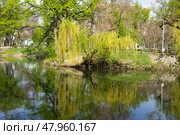 Весенний пейзаж. Редакционное фото, фотограф Евгений Будюкин / Фотобанк Лори