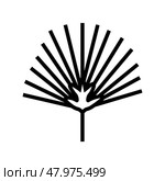 chamaerops tropical leaf line icon vector illustration. Стоковая иллюстрация, иллюстратор Vectorwin / Фотобанк Лори