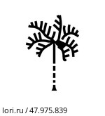 foxtail palm tree glyph icon vector illustration. Стоковая иллюстрация, иллюстратор Vectorwin / Фотобанк Лори