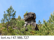 Junceda und der Mata da Albergaria, Nationalpark Peneda-Gerês, Стоковое фото, фотограф Joerg Hackemann / PantherMedia / Фотобанк Лори