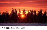 forest nature ice fir winter ai generated. Стоковое AI-изображение, AI-художник Vectorwin / Фотобанк Лори