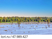 Lake Bigeaux under blue skies and white clouds in Louisiana. Стоковое фото, фотограф Joerg Hackemann / PantherMedia / Фотобанк Лори