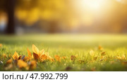 grass light beauty day sunlit ai generated. Стоковое AI-изображение, AI-художник Vectorwin / Фотобанк Лори
