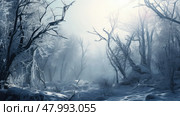 forest cold sun branch frigid ai generated. Стоковое AI-изображение, AI-художник Vectorwin / Фотобанк Лори