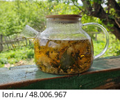 Herbal tea in a glass teapot on the veranda. Стоковое фото, фотограф Марина Володько / Фотобанк Лори