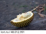 Экзотический фрукт дуриан / Durian Exotic fruit. Стоковое фото, фотограф Сергей Митрофанов / Фотобанк Лори