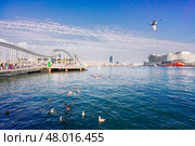 Rambla Maritim, Barcelona, Spain (2017 год). Стоковое фото, фотограф Anastasy Yarmolovich / Фотобанк Лори